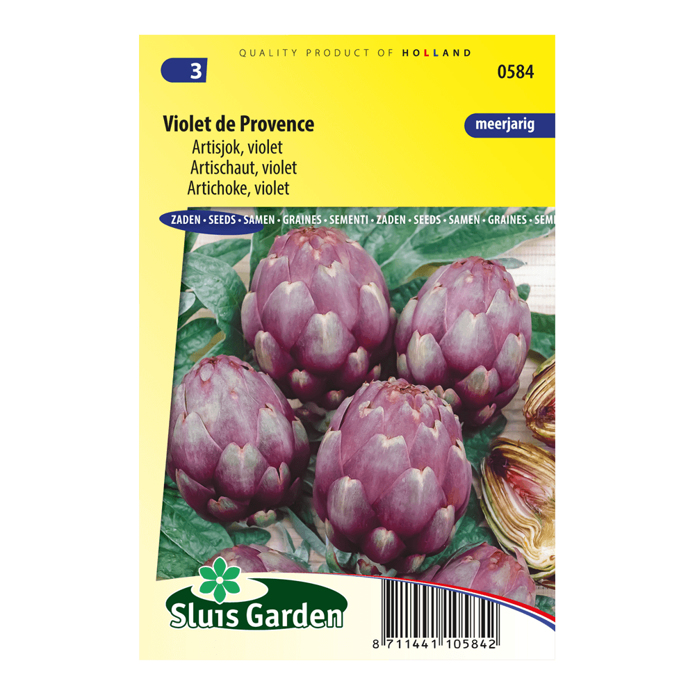 artisjok-violet-de-provence-e754e7d87d9c.png Artisjok Violet de Provence - Afbeelding 1
