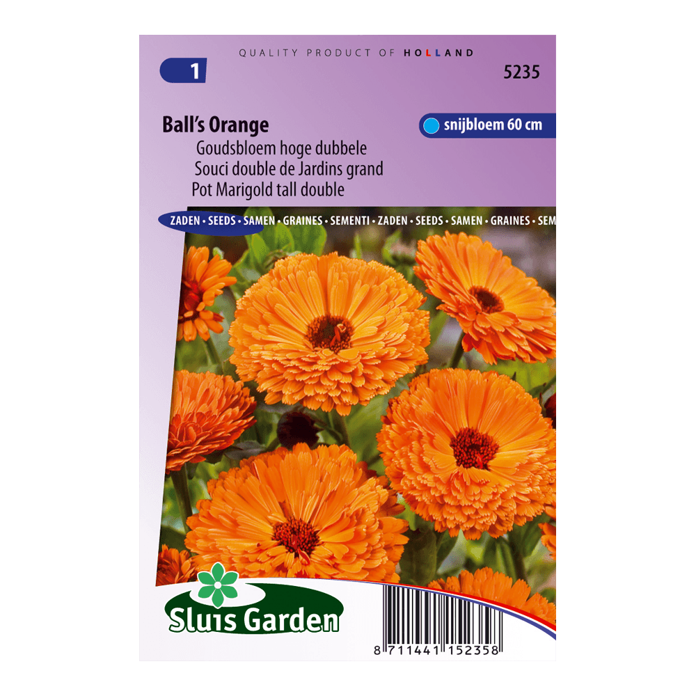 goudsbloem-ball-s-orange-66873396ebe4.png Goudsbloem Ball's Orange - Afbeelding 1