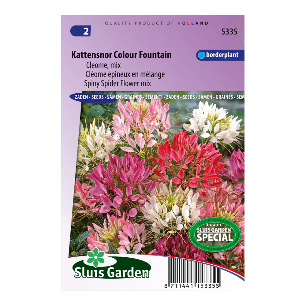 kattensnor-colour-fountain-mix-cleome-0c03a4ab47ee.png Kattensnor Colour Fountain mix (Cleome) - Afbeelding 1