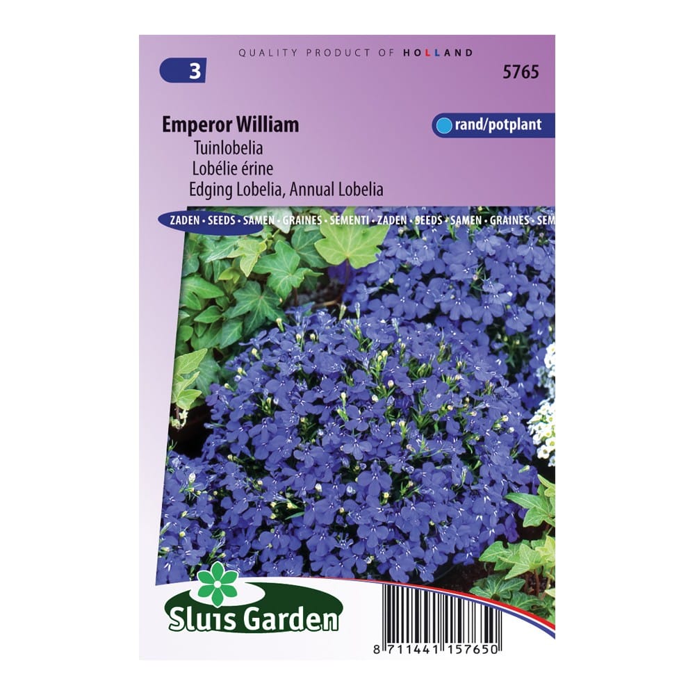 lobelia-emperor-william-3bf274a4ebf6.jpg Lobelia Emperor William - Afbeelding 1