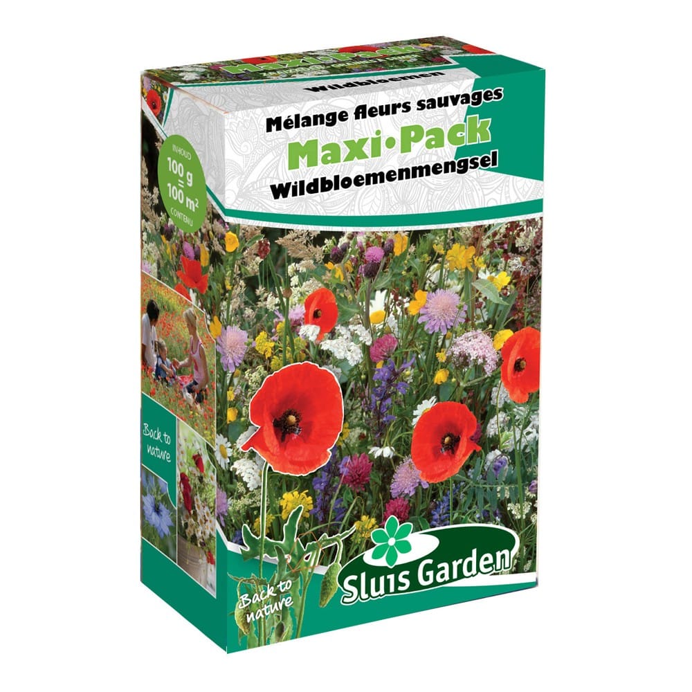 mengsel-wildbloemen-maxi-pack-084c36964b1e-2.jpg Mengsel Wildbloemen Maxi-Pack - Afbeelding 1