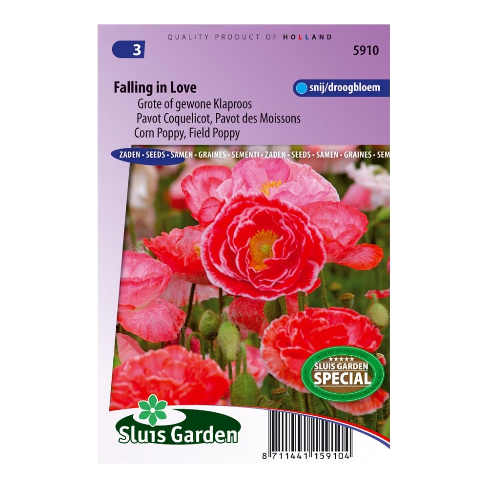 papaver-falling-in-love-959a4d8a3183.jpg Papaver Falling in Love - Afbeelding 1