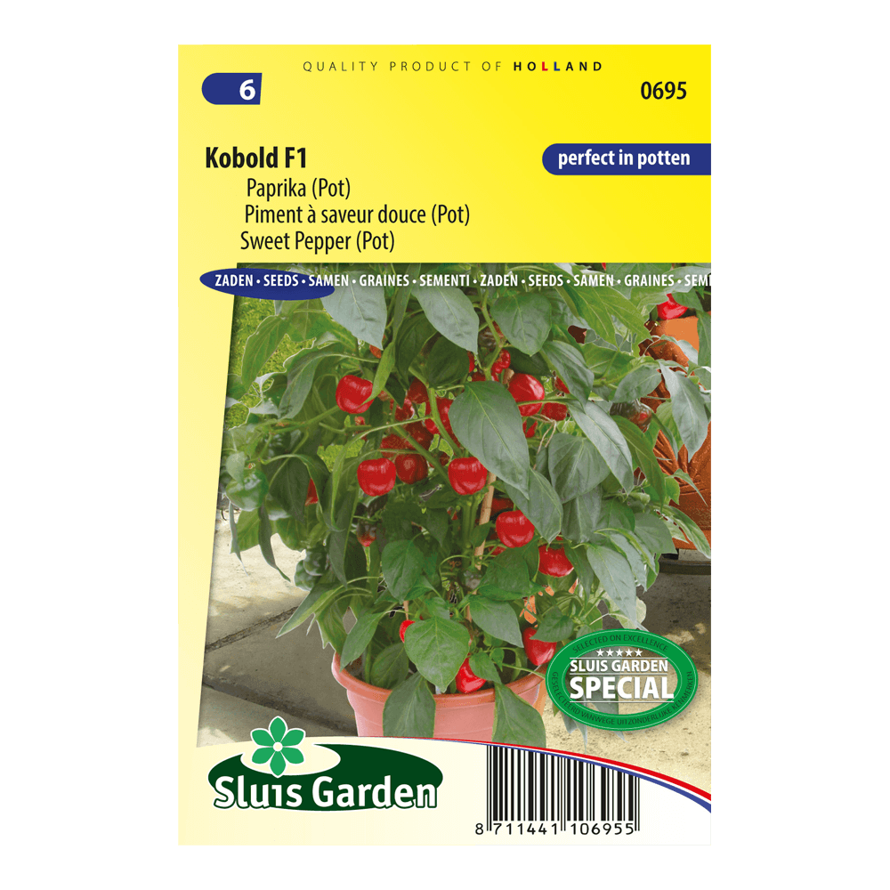 paprika-pot-kobold-f1-bdb10896eb13.png Paprika (pot) Kobold F1 - Afbeelding 1