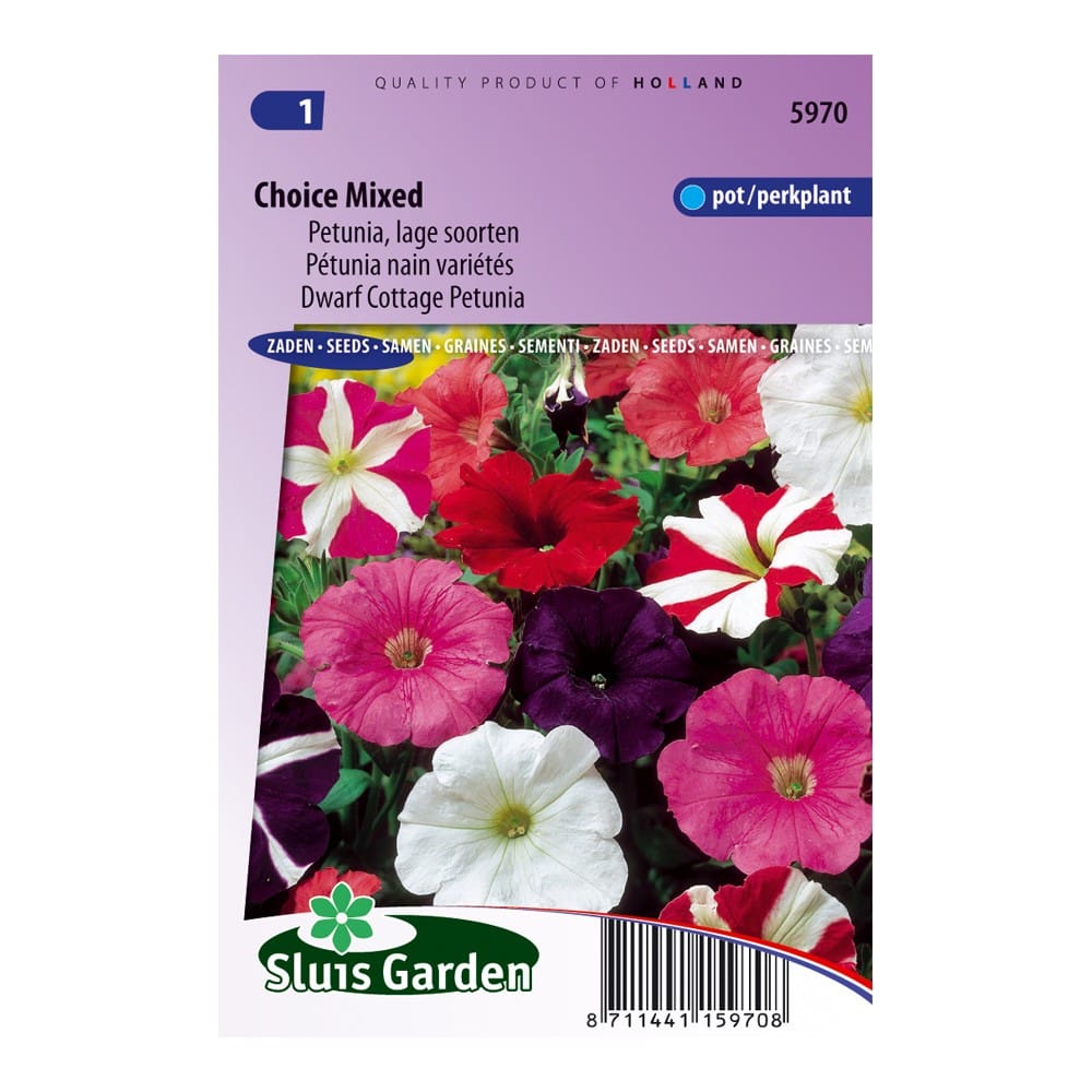 petunia-lage-soorten-gemengd-514a37ec3db3.jpg Petunia lage soorten gemengd - Afbeelding 1