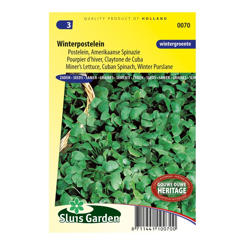 postelein-winterpostelein-71c12422c284.jpg Postelein Winterpostelein - Afbeelding 1
