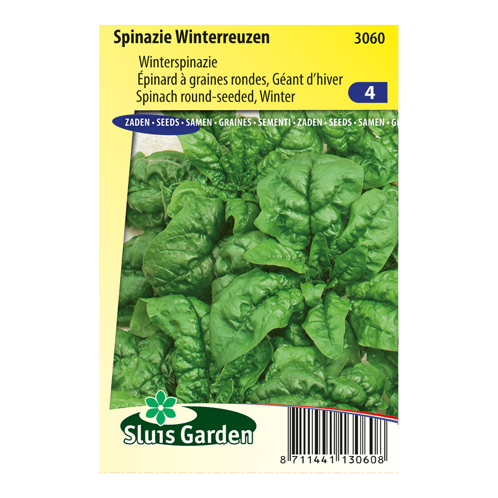 spinazie-winterreuzen-620d4d0adfb1-2.png Spinazie Winterreuzen - Afbeelding 1
