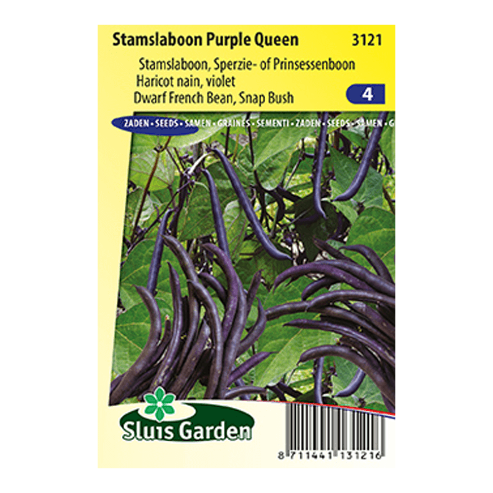 stamslaboon-purple-queen-68ed99134c17.png Stamslaboon Purple Queen - Afbeelding 1
