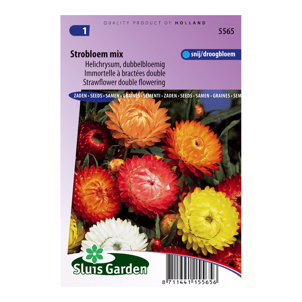 strobloem-dubbelbloemig-gemengd-924ff2d7f0e5.png Strobloem Dubbelbloemig gemengd - Afbeelding 1