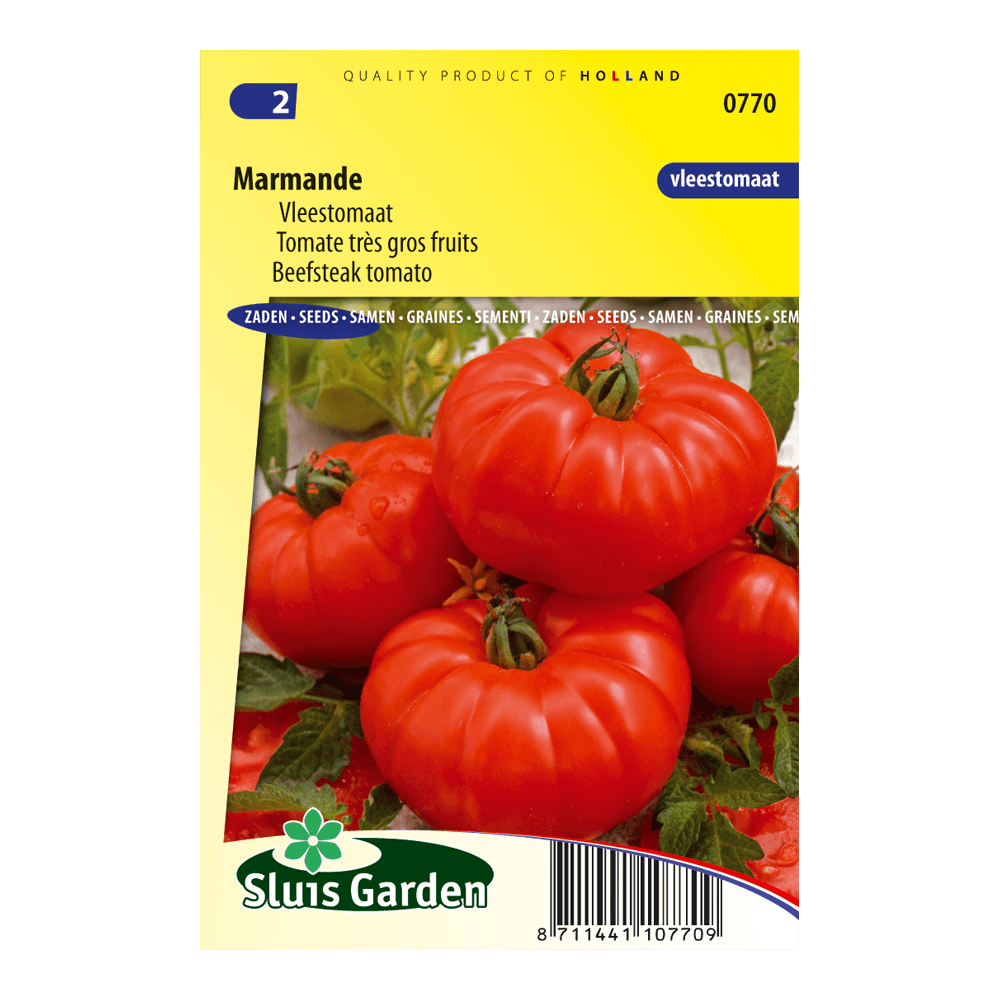 tomaat-marmande-d61ce28f907e.png Tomaat Marmande - Afbeelding 1