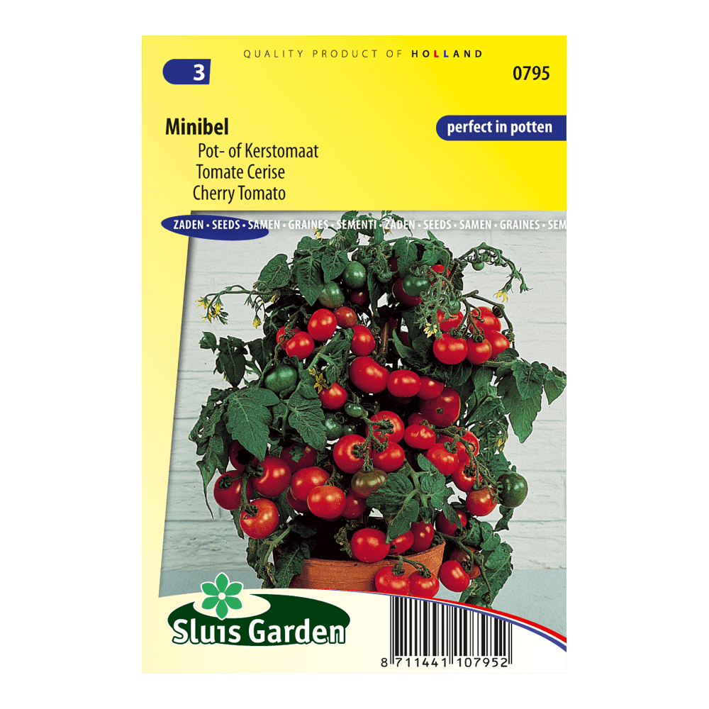 tomaat-minibel-d1c34cd6a710.png Tomaat Minibel - Afbeelding 1