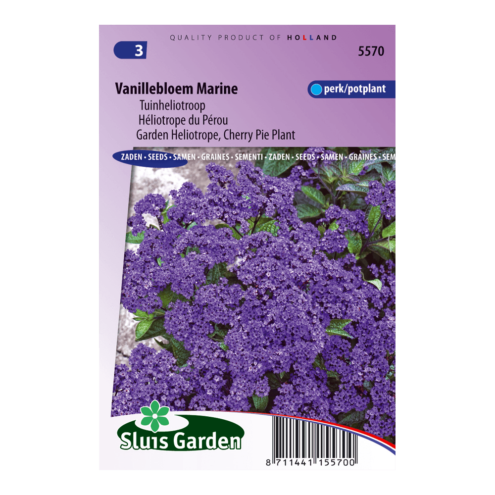 vanillebloem-marine-heliotroop-d9cdb7ab0a32.png Vanillebloem Marine (Heliotroop) - Afbeelding 1