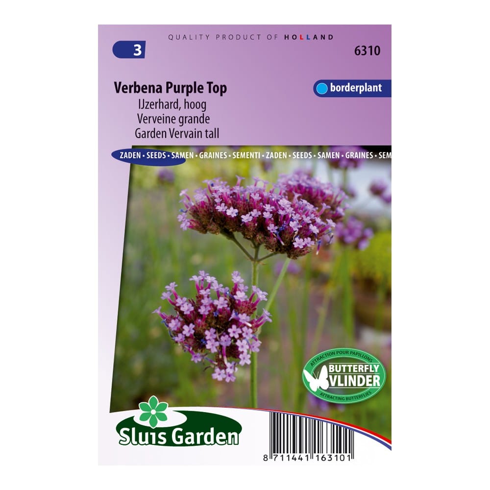 verbena-purple-top-ijzerhard-dd869f99d97f.jpg Verbena Purple Top (IJzerhard) - Afbeelding 1