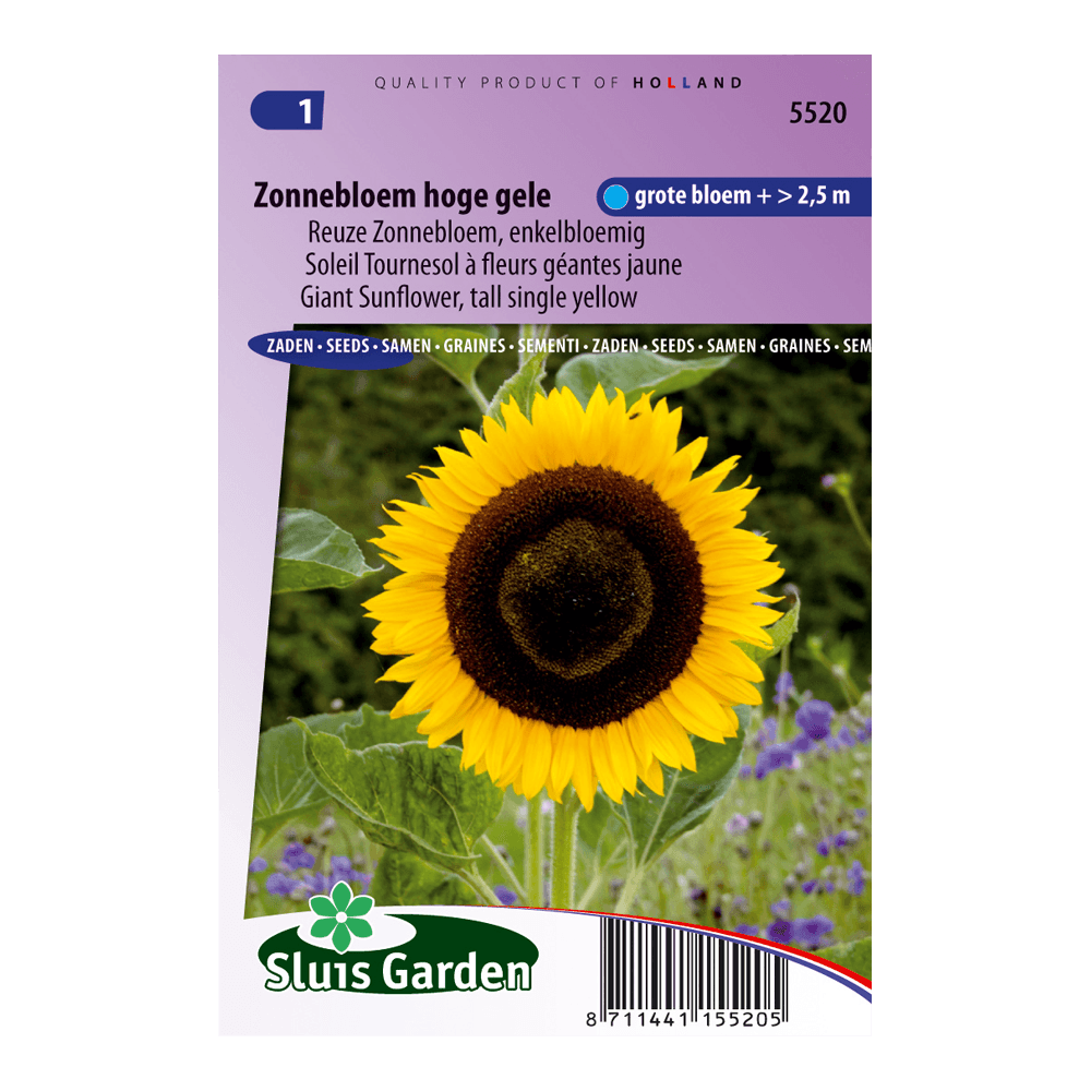 zonnebloem-hoge-gele-723b73b6c714.png Zonnebloem Hoge gele - Afbeelding 1